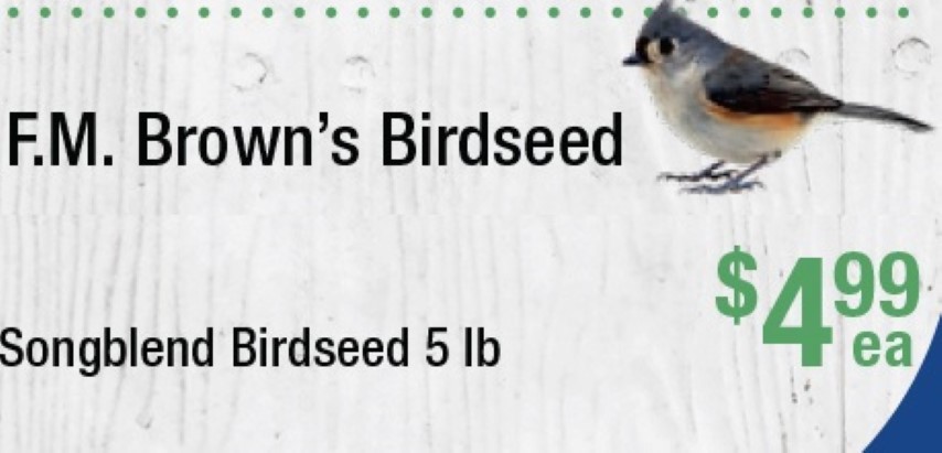 F.M. Brown's Songblend Birdseed