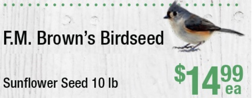 F.M. Brown's Sunflower Seed Birdseed