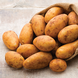 Russet Potatoes 