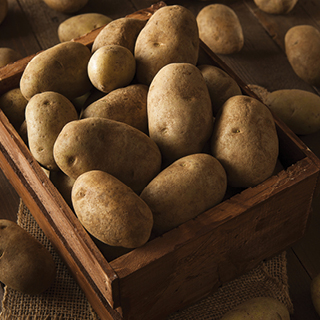 Russet Potatoes 