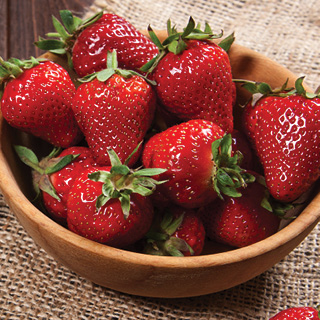 Florida Strawberries 