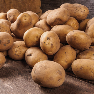 Russet or Yellow Gold Potatoes