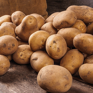Russet Potatoes 