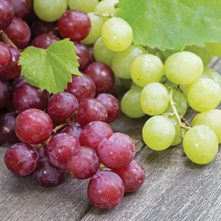 Red or Green Seedless Grapes