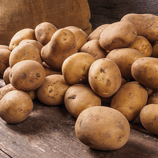 Russet Potatoes 