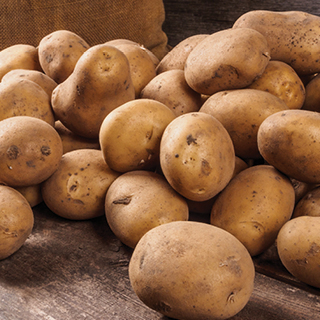 Russet Potatoes 