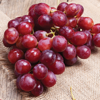 Red Seedless Grapes 