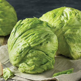 Iceberg Lettuce 