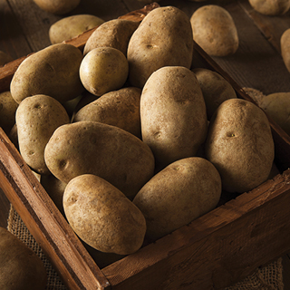 Russet Potatoes 