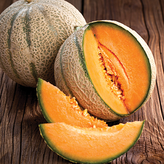 Athena Cantaloupes