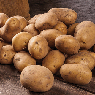 Russet Potatoes