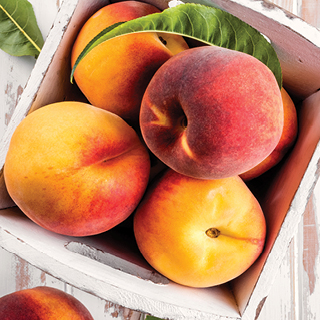 Fresh Southern Peaches 