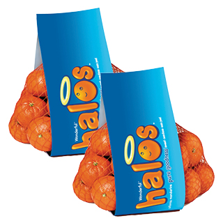 Halos Mandarin Oranges 