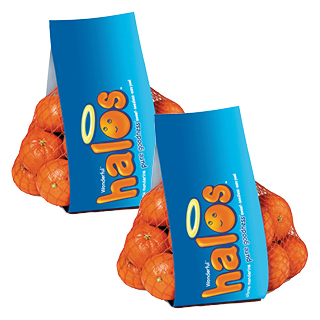 Halos Mandarin Oranges 