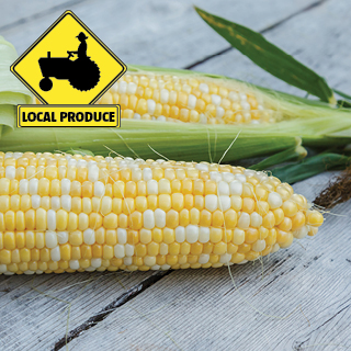 Local White & Bi-Color Sweet Corn Local White & Bi-Color Sweet Corn