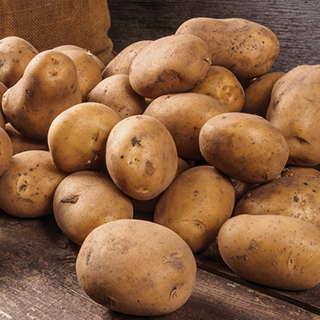 Russet Potatoes
